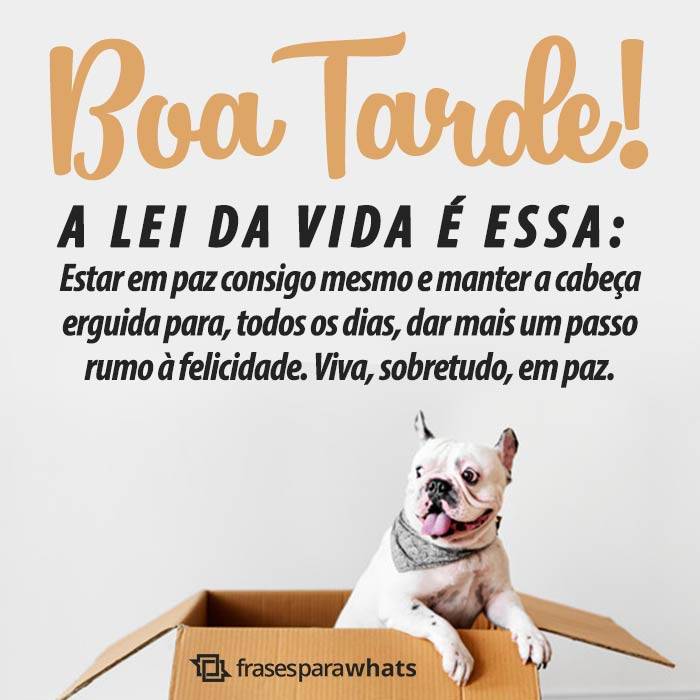 Mensagens de Boa Tarde +46 Opções Para Te Inspirar na Hora de Compartilhar