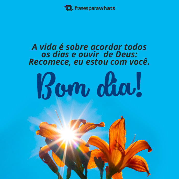 Mensagens de Bom Dia +40 Lindas Opções Prontas para Compartilhar