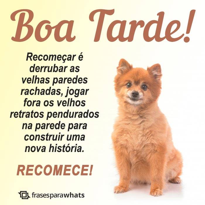 Mensagens de Boa Tarde +46 Opções Para Te Inspirar na Hora de Compartilhar