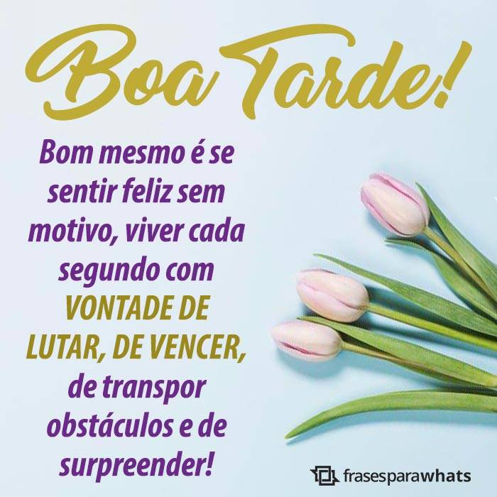 Mensagens de Boa Tarde +46 Opções Para Te Inspirar na Hora de Compartilhar