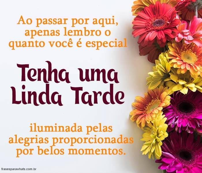 Mensagens de Boa Tarde +46 Opções Para Te Inspirar na Hora de Compartilhar