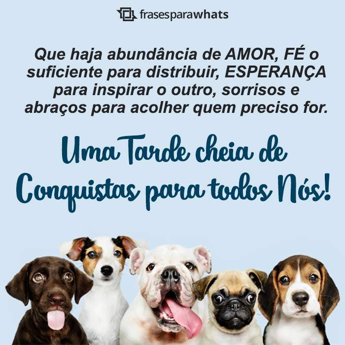 Mensagens de Boa Tarde +46 Opções Para Te Inspirar na Hora de Compartilhar