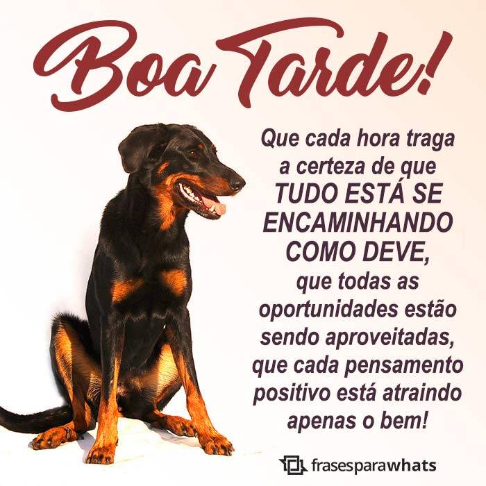 Mensagens de Boa Tarde +46 Opções Para Te Inspirar na Hora de Compartilhar