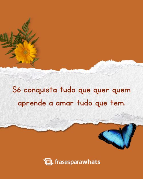 Frases Sobre a Vida Que Mostram Maturidade e Reflexão