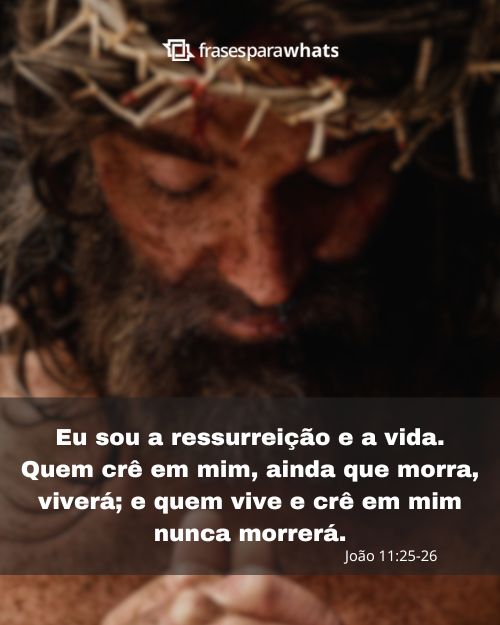 Frases de Jesus te Ama