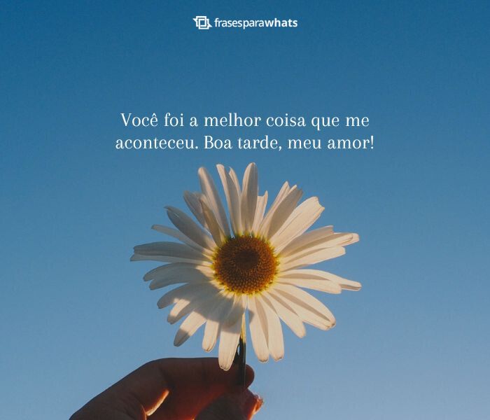 Boa Tarde com Amor!