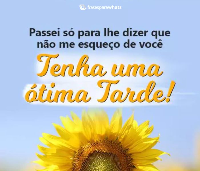 Boa Tarde com Amor!