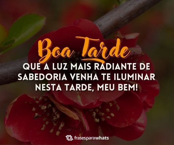 Boa Tarde com Amor!