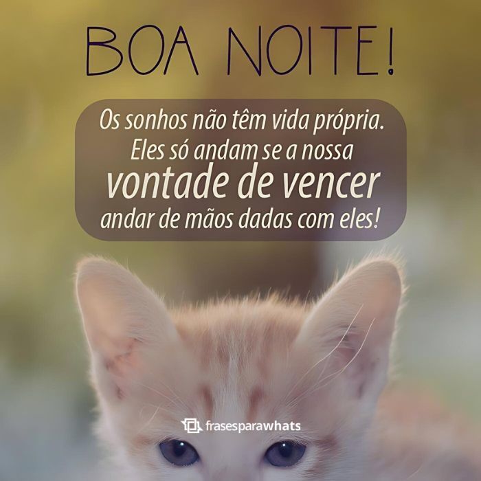 Mensagens de Boa Noite +60 Opções de Frases Prontas para Compartilhar