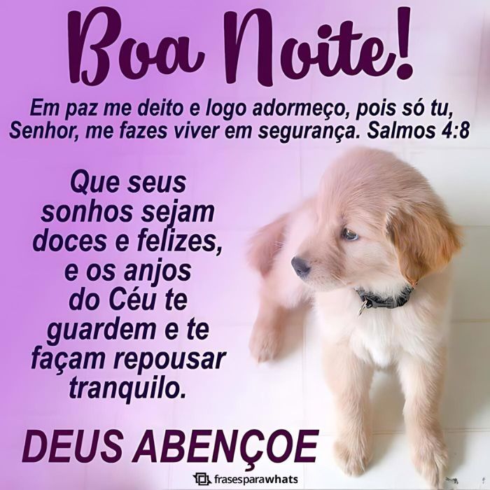 Mensagens de Boa Noite +60 Opções de Frases Prontas para Compartilhar