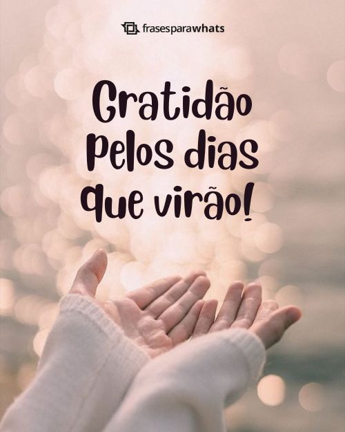 Frases de Agradecimento a Deus +120 Opções para Você Externar a sua Gratidão!