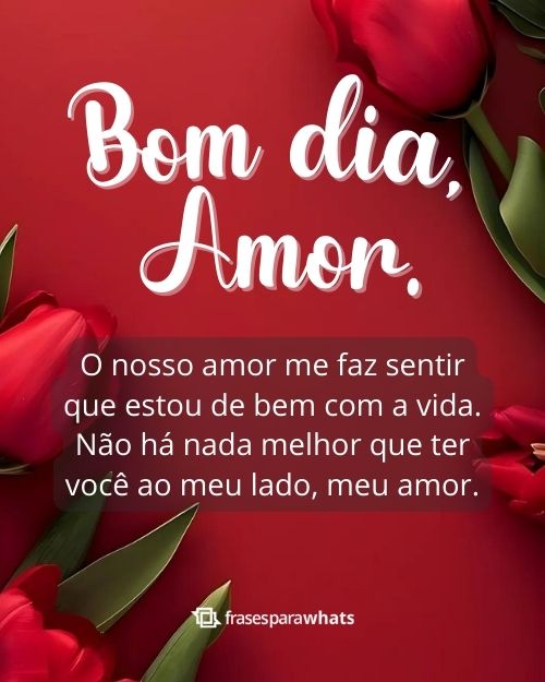 Frases de Bom Dia para Namorada +72 Opções Românticas que Irão Deixá-la Apaixonada!