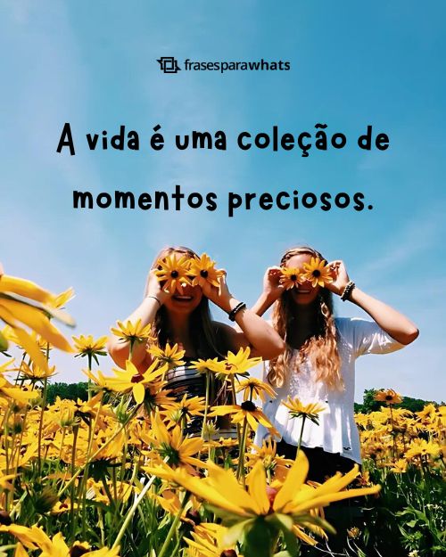 Frases para Bio do Instagram +53 Opções Para Arrasar nas Redes Sociais