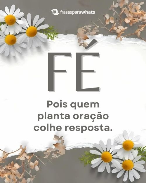 Frases de Fé para Status +81 Opções para Quem Mantém a sua Confiança em Deus