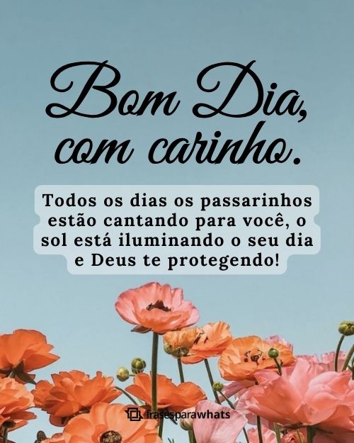 Frases de Bom Dia com Carinho: Compartilhe Doces Mensagens de Bom Dia