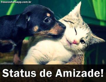 Imagem do post Status de Amizade: 150 Frases de Amizade para Status