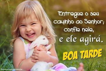 Imagem do post Frases de Boa Tarde para Status