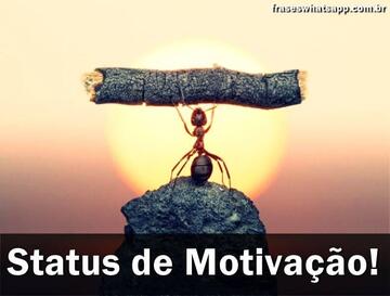 Imagem do post Frases de Motivação para Status