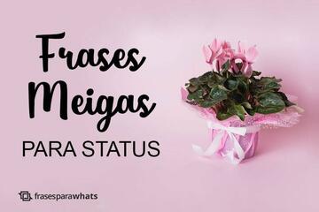 Imagem do post Frases Meigas para Status