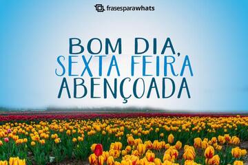 Imagem do post Mensagens de Bom dia Sexta feira Abençoada: Para Começar o Dia com Fé