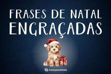 Imagem do post Frases de Natal Engraçadas