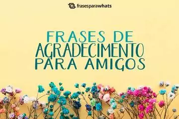 Imagem do post relacionado: Frases de Agradecimento para Amigos