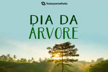 Imagem do post relacionado: Frases para o Dia da Árvore