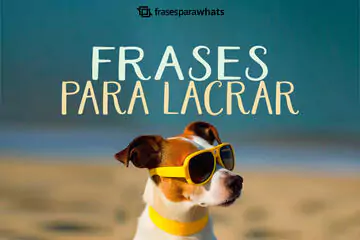 Imagem do post relacionado: Frases para Lacrar