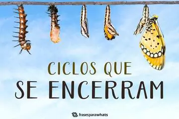 Imagem do post relacionado: Frases Sobre Ciclos que se Encerram