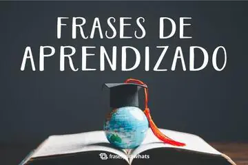 Imagem do post relacionado: Frases de Aprendizado